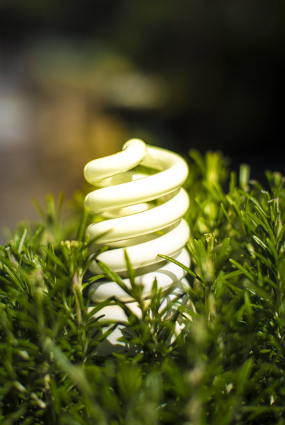 高效的绿色能源图片下载