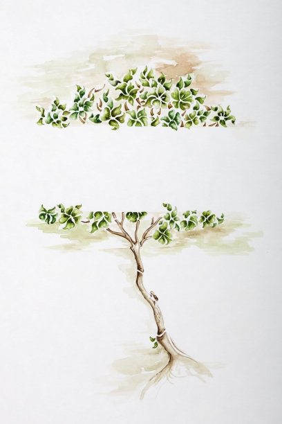 树画水彩画。图片下载