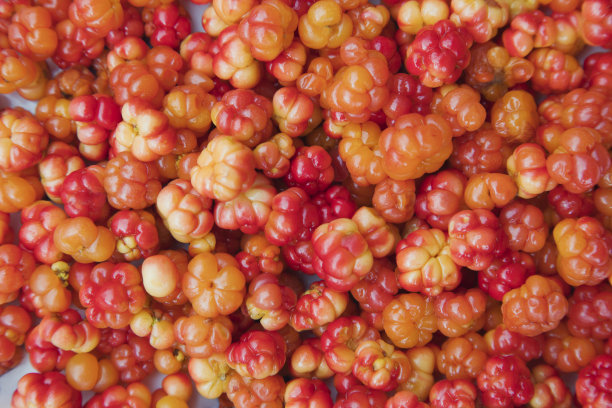 上的却是野生云莓图片下载