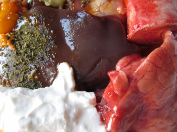 生物上适合狗的生食图片下载