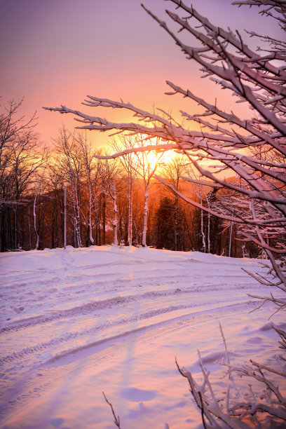 冬天温暖的阳光图片下载