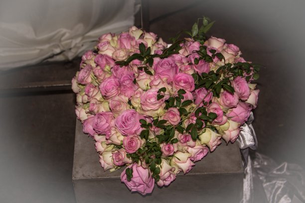 粉色玫瑰花的心图片下载