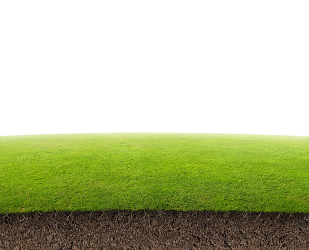 绿地地下图片下载