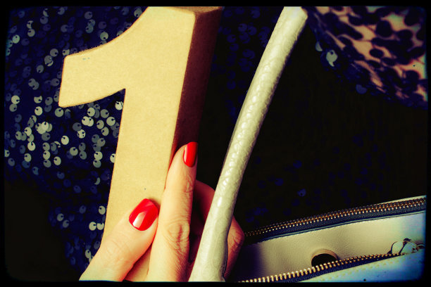 第一款复古风格的女性钱包图片下载