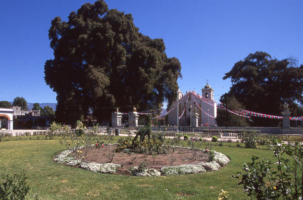 Santa María del Tule church和Montezuma Cypress墨西哥瓦哈卡州图片下载
