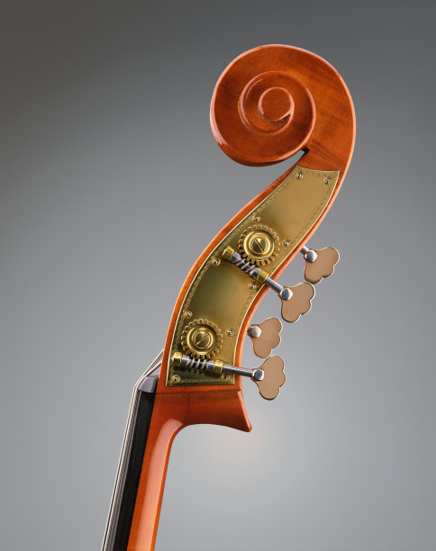 低音提琴图片下载