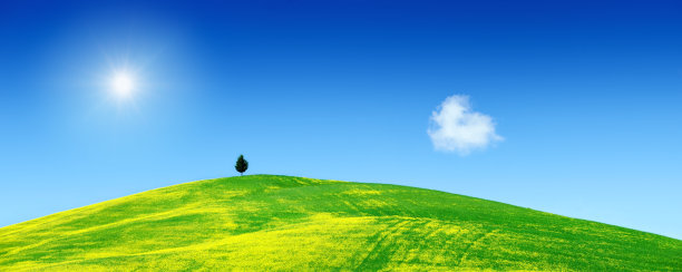 春天的风景-翠绿的山丘上有孤柏图片下载