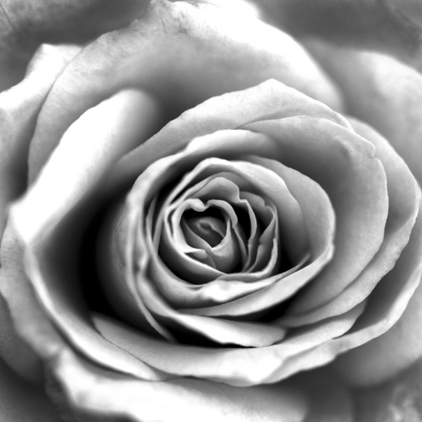 你让我微笑图片下载