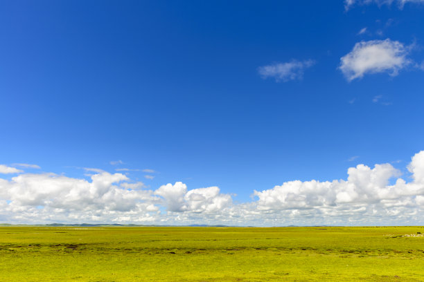 西藏高原草地和云景图片下载