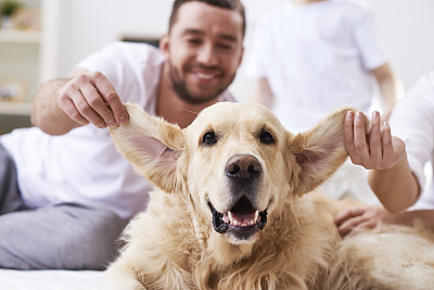 可爱的大耳的朋友图片下载