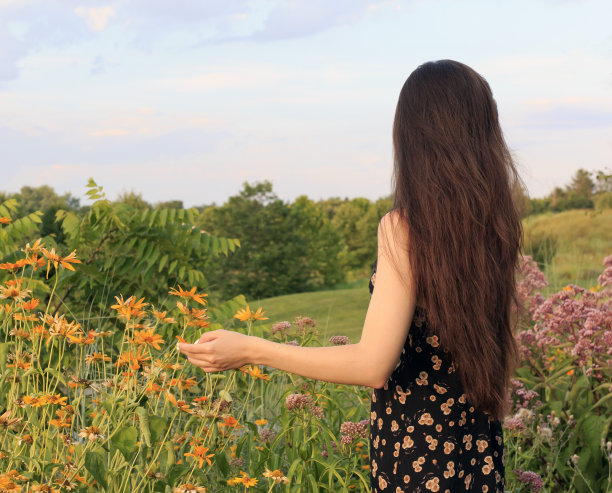 年轻的女孩在花的田野面朝别处图片下载