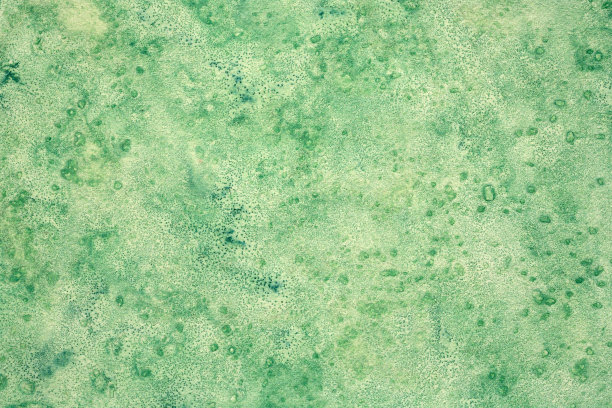 油漆和盐绿色水彩背景纹理图片下载