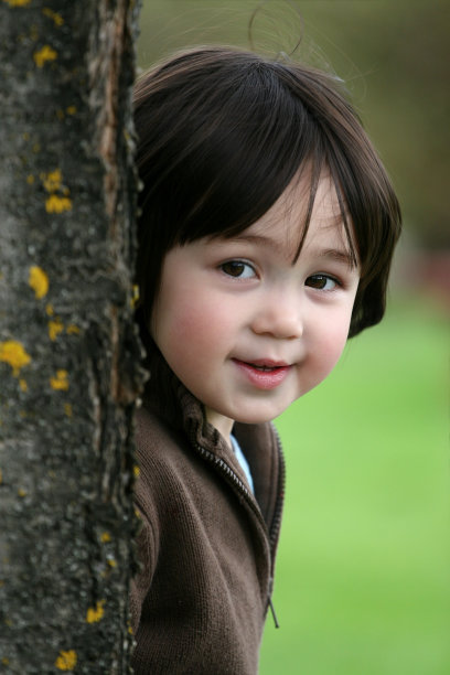 可爱的小孩从树后窥视图片下载