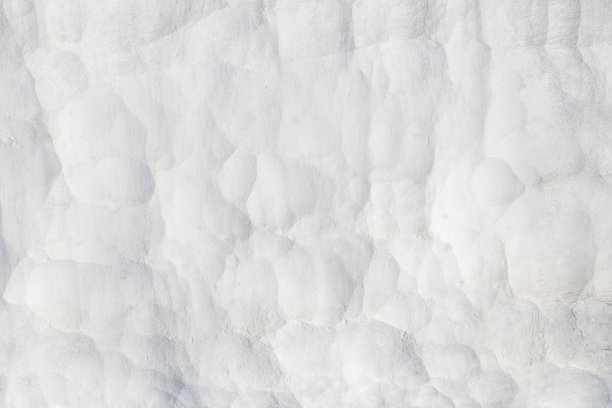 钙质壁图片下载