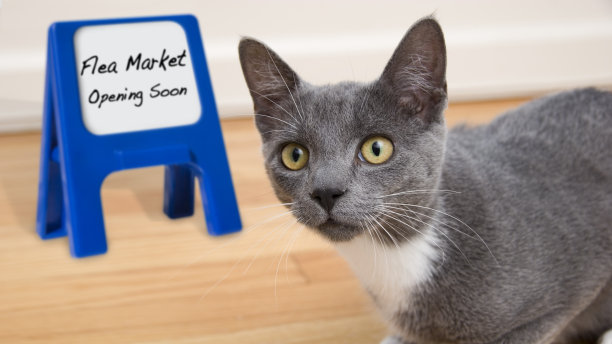 跳蚤市场即将开业图片下载