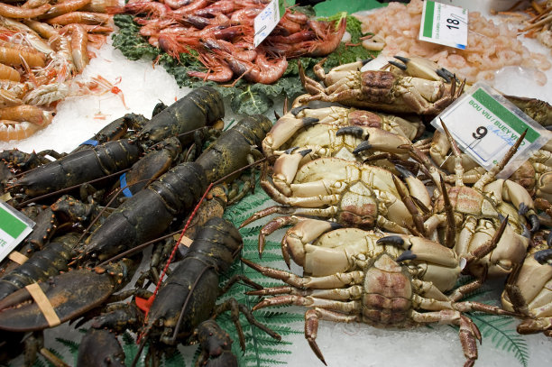 螃蟹和龙虾图片下载