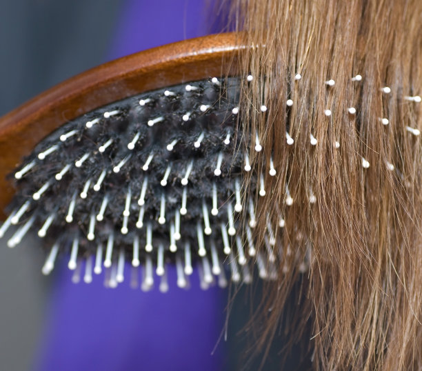 用发刷梳理棕色的头发图片下载