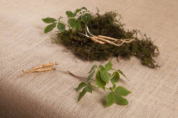 有机人参图片下载