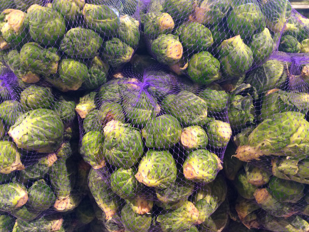 布鲁塞尔的袋子图片下载