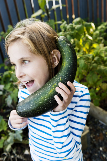 西葫芦电话图片下载