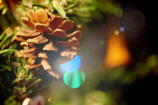 松果可以为你的圣诞树增添个性图片下载