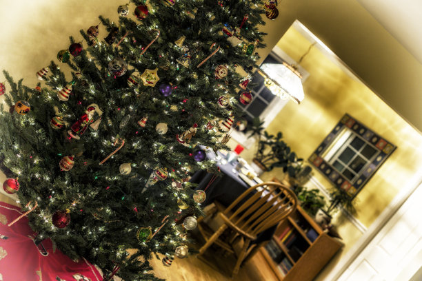 装饰圣诞树和节日餐桌图片下载