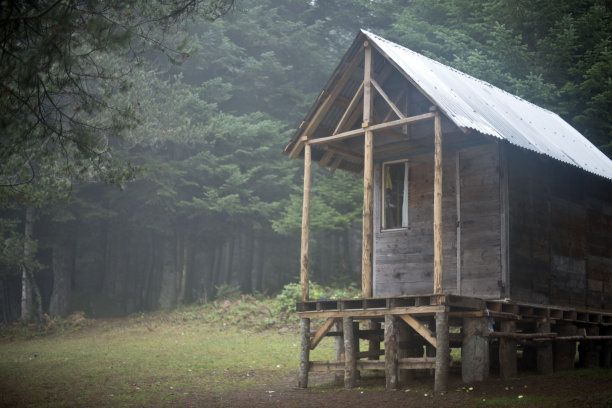 森林里的小木屋图片下载