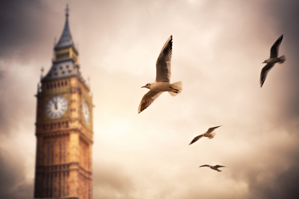 带鸟的大本钟图片下载