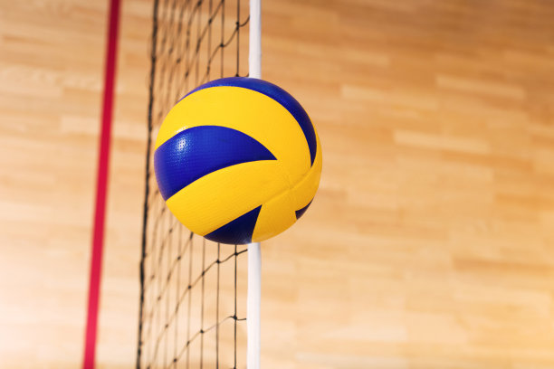 排球。图片下载