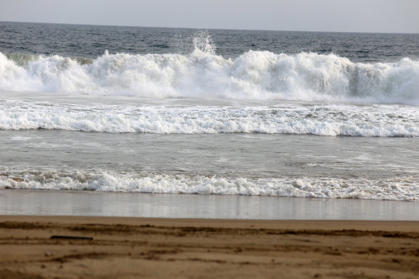 齐瓦塔内霍图片下载