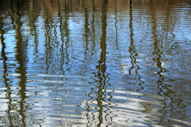 水反射文摘图片下载