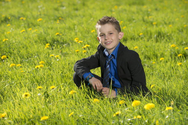 优雅的男孩坐在草地上图片下载