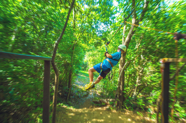 在哥斯达黎加的冠层之旅中图片下载