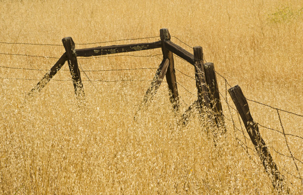 旧栅栏图片下载