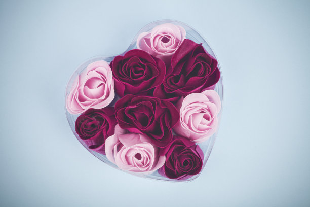 玫瑰的心图片下载