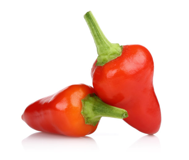 辣椒乐队图片下载