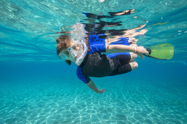 平静的热带风光图片下载