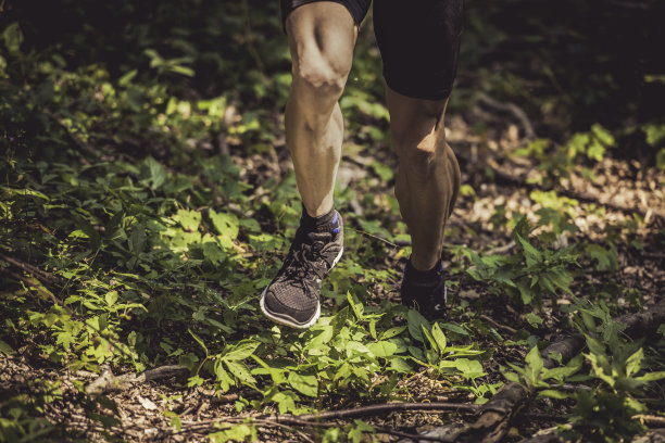 穿过森林里的矮树丛往山上跑的人图片下载