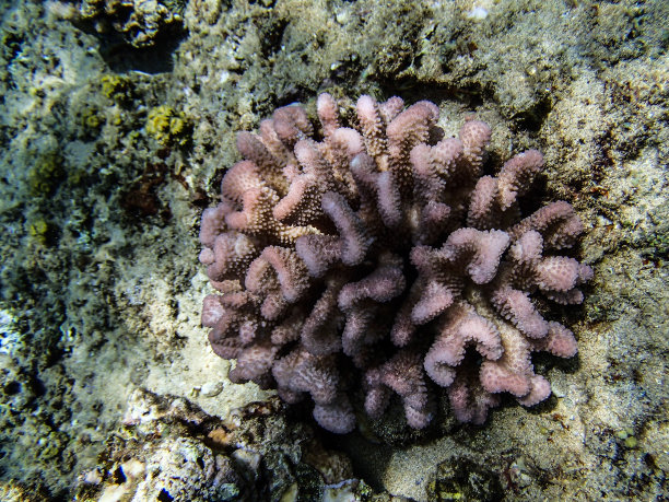 水下的场景图片下载