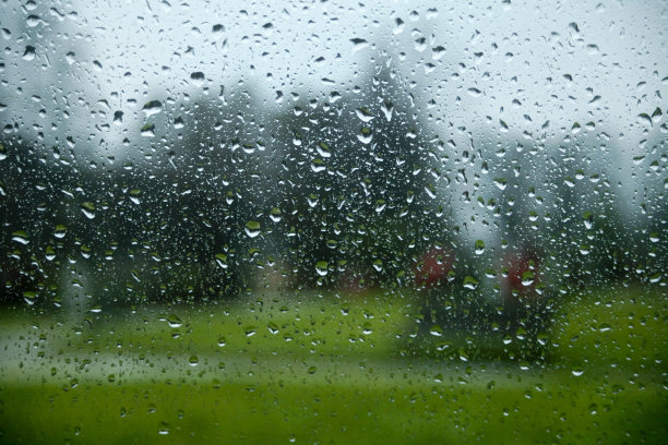 在雨天透过窗户花园。图片下载