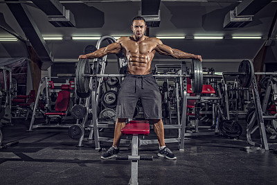 传播我的翅膀图片下载