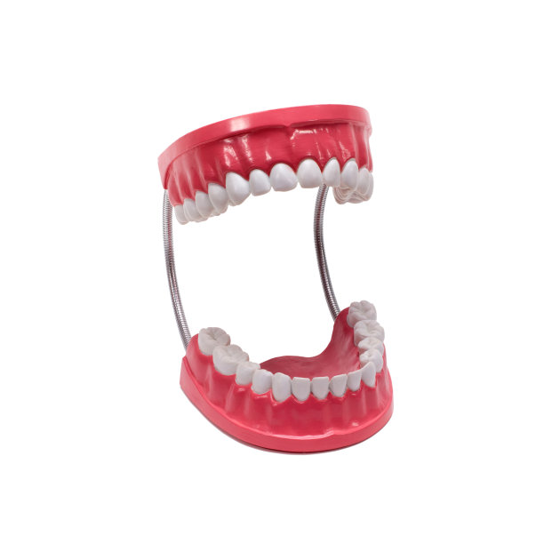 牙齿圣餐台。图片下载