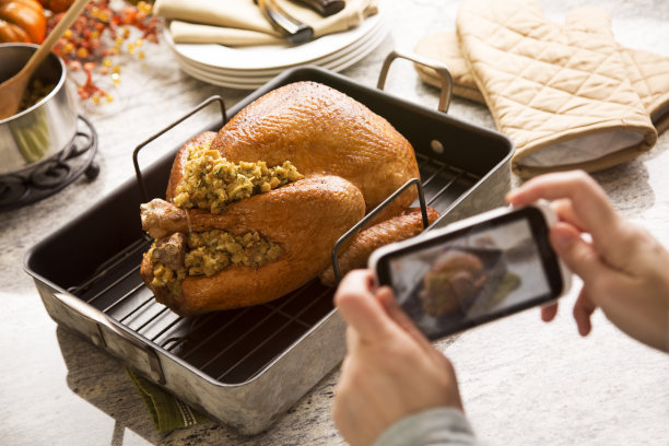 感恩节火鸡图片下载