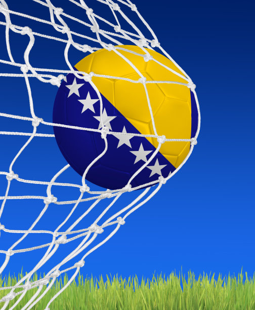 波斯尼亚-黑塞哥维那的目标图片下载