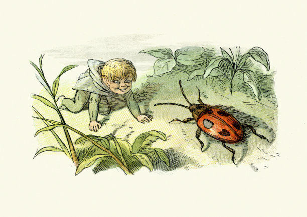 无人公主：仙女与瓢虫图片下载