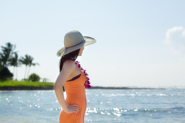 夏威夷考艾岛热带海滩天堂度假图片下载