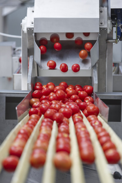 番茄校准机器图片下载