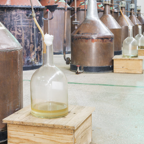 玫瑰精油的蒸馏图片下载