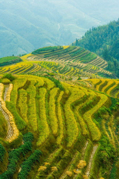 中国龙胜梯田图片下载