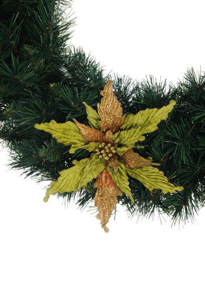 绿色一品红花环图片下载